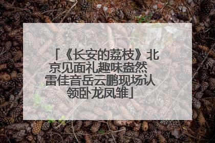 《长安的荔枝》北京见面礼趣味盎然 雷佳音岳云鹏现场认领卧龙凤雏