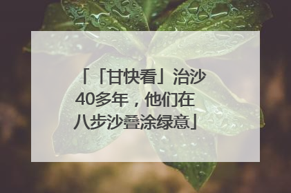 「甘快看」治沙40多年，他们在八步沙叠涂绿意