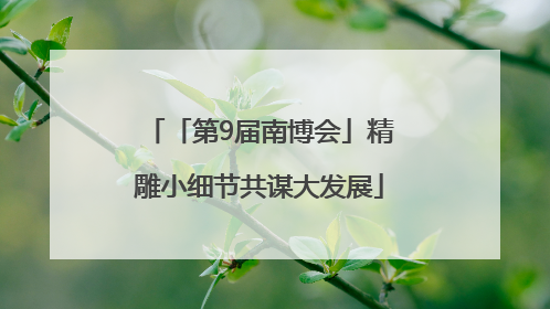 「第9届南博会」精雕小细节共谋大发展
