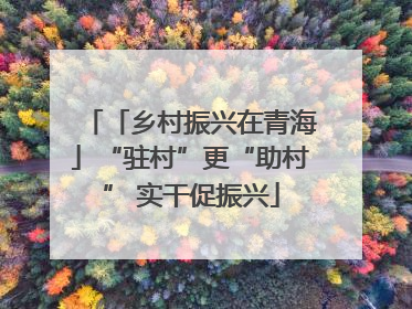 「乡村振兴在青海」“驻村”更“助村” 实干促振兴