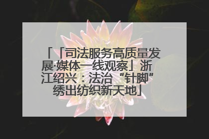 「司法服务高质量发展·媒体一线观察」浙江绍兴：法治“针脚”绣出纺织新天地