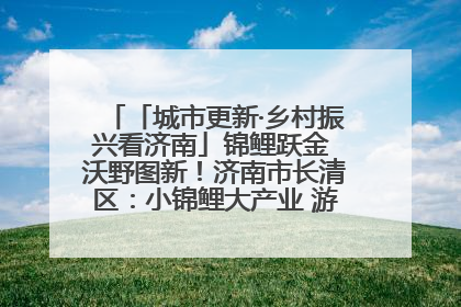 「城市更新·乡村振兴看济南」锦鲤跃金 沃野图新！济南市长清区：小锦鲤大产业 游出农旅新风景