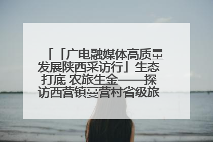 「广电融媒体高质量发展陕西采访行」生态打底 农旅生金——探访西营镇蔓营村省级旅游示范村的振兴密码
