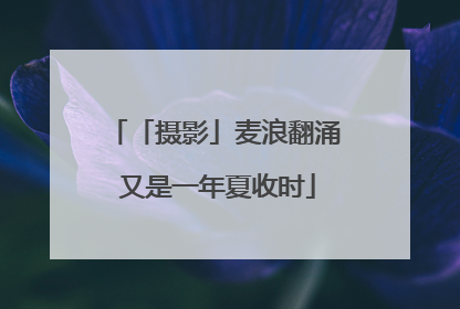 「摄影」麦浪翻涌 又是一年夏收时