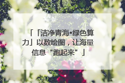 「洁净青海•绿色算力」以数绘图，让海量信息“跑起来”
