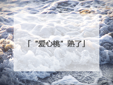 “爱心桃”熟了