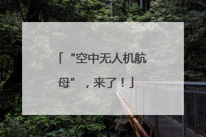 “空中无人机航母”，来了！