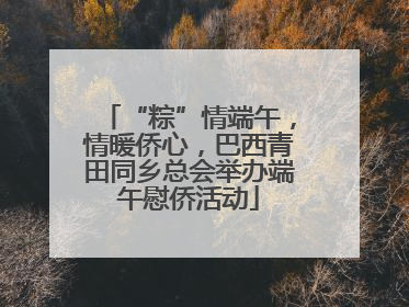 “粽”情端午，情暖侨心，巴西青田同乡总会举办端午慰侨活动