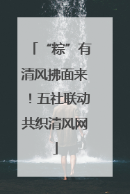 “粽”有清风拂面来！五社联动共织清风网