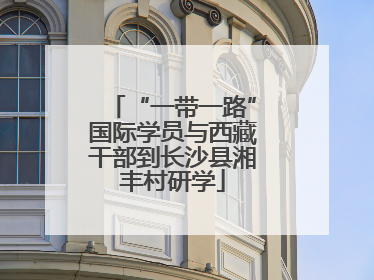 “一带一路”国际学员与西藏干部到长沙县湘丰村研学