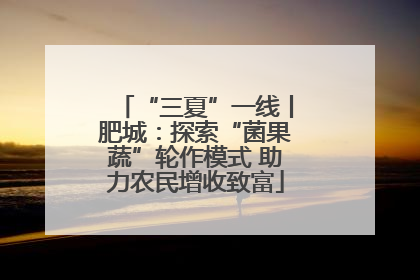 “三夏”一线丨肥城：探索“菌果蔬”轮作模式 助力农民增收致富