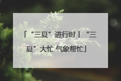 “三夏”进行时丨“三夏”大忙 气象帮忙