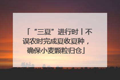 “三夏”进行时丨不误农时完成夏收夏种，确保小麦颗粒归仓