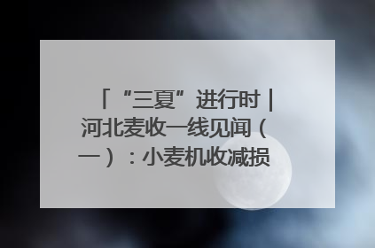 “三夏”进行时｜河北麦收一线见闻（一）：小麦机收减损“竞技” 农机高手麦田“过招”