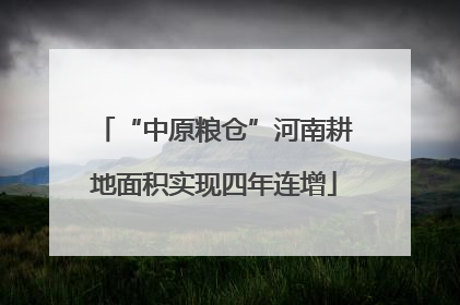 “中原粮仓”河南耕地面积实现四年连增