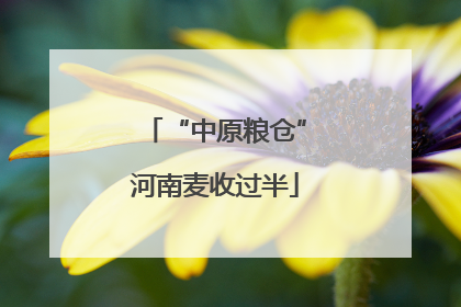 “中原粮仓”河南麦收过半