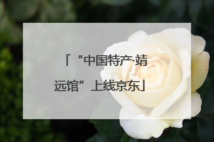 “中国特产·靖远馆”上线京东