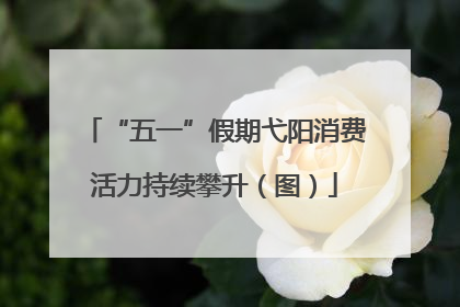 “五一”假期弋阳消费活力持续攀升（图）