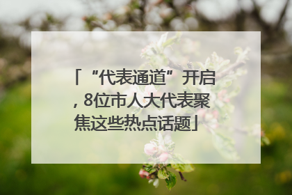“代表通道”开启，8位市人大代表聚焦这些热点话题
