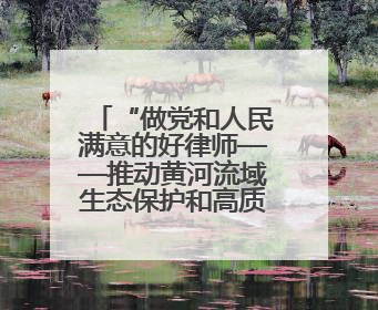 “做党和人民满意的好律师——推动黄河流域生态保护和高质量发展律师行（德州站）”活动成功举办