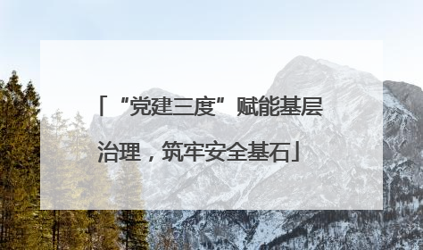 “党建三度”赋能基层治理，筑牢安全基石