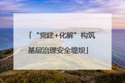 “党建+化解”构筑基层治理安全堤坝