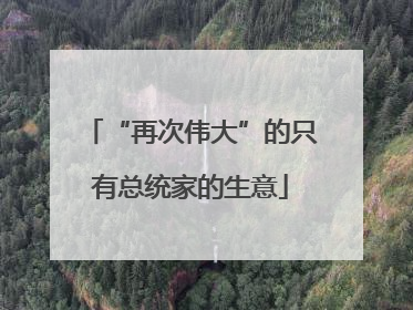 “再次伟大”的只有总统家的生意