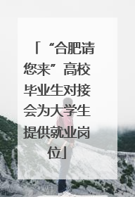“合肥请您来”高校毕业生对接会为大学生提供就业岗位