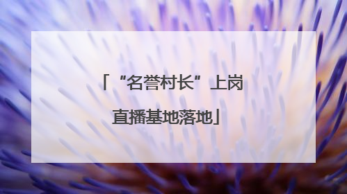 “名誉村长”上岗 直播基地落地