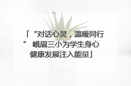 “对话心灵，温暖同行” 峨眉三小为学生身心健康发展注入能量