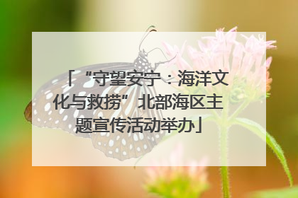 “守望安宁：海洋文化与救捞”北部海区主题宣传活动举办