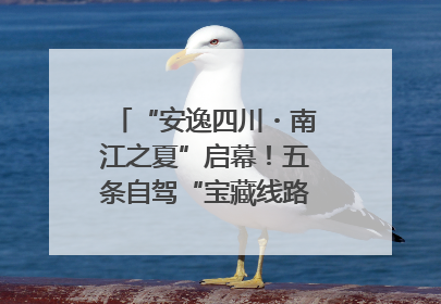 “安逸四川・南江之夏”启幕！五条自驾“宝藏线路”串联避暑胜地