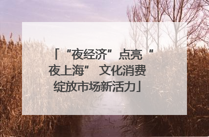 “夜经济”点亮“夜上海” 文化消费绽放市场新活力