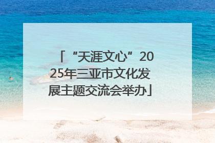 “天涯文心”2025年三亚市文化发展主题交流会举办