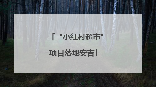 “小红村超市”项目落地安吉