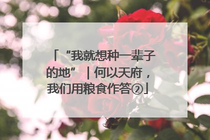 “我就想种一辈子的地”｜何以天府，我们用粮食作答②