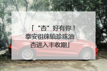 “杏”好有你！泰安徂徕镇珍珠油杏进入丰收期