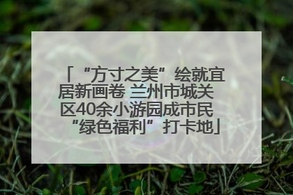 “方寸之美”绘就宜居新画卷 兰州市城关区40余小游园成市民“绿色福利”打卡地