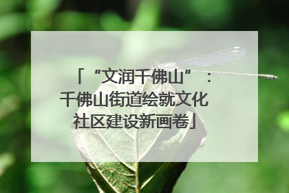 “文润千佛山”：千佛山街道绘就文化社区建设新画卷