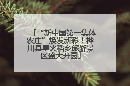 “新中国第一集体农庄”焕发新彩！桦川县星火稻乡旅游景区盛大开园