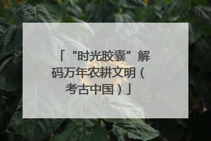“时光胶囊”解码万年农耕文明（考古中国）