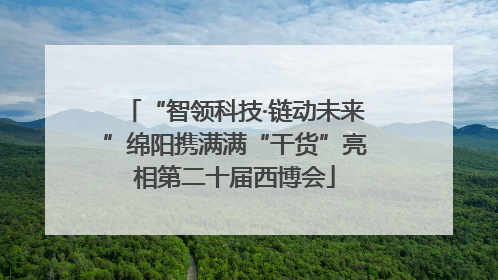 “智领科技·链动未来”绵阳携满满“干货”亮相第二十届西博会