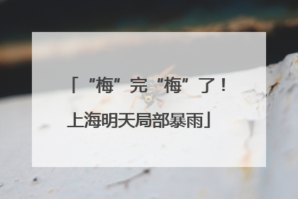 “梅”完“梅”了！上海明天局部暴雨