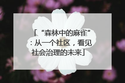 “森林中的麻雀”：从一个社区，看见社会治理的未来