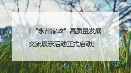 “永州家政”高质量发展交流展示活动正式启动