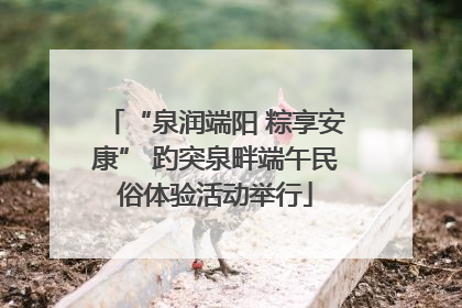 “泉润端阳 粽享安康” 趵突泉畔端午民俗体验活动举行