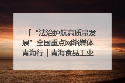 “法治护航高质量发展”全国重点网络媒体青海行｜青海食品工业协会：架起“青字号”美食的产业化桥梁
