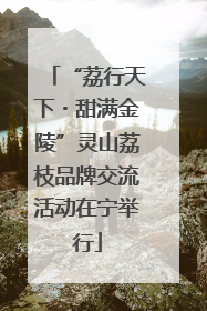 “荔行天下・甜满金陵”灵山荔枝品牌交流活动在宁举行