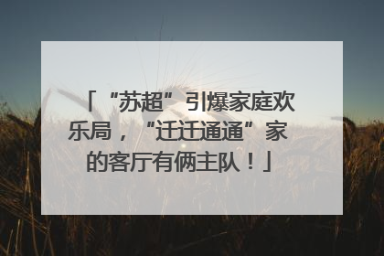 “苏超”引爆家庭欢乐局，“迁迁通通”家的客厅有俩主队！