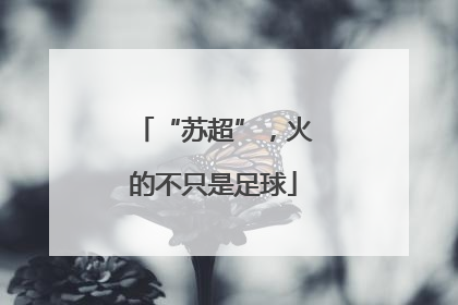 “苏超”，火的不只是足球
